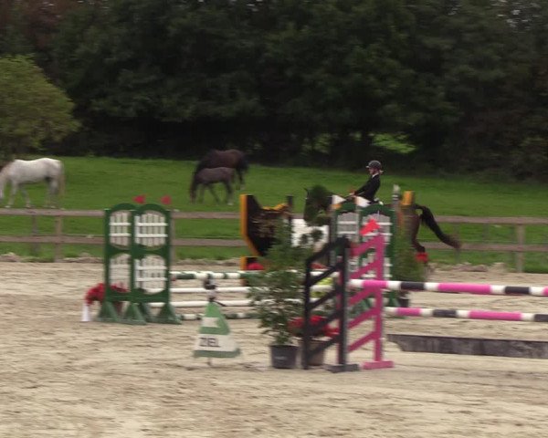Reitturnier Loop/ Looperholz 2023