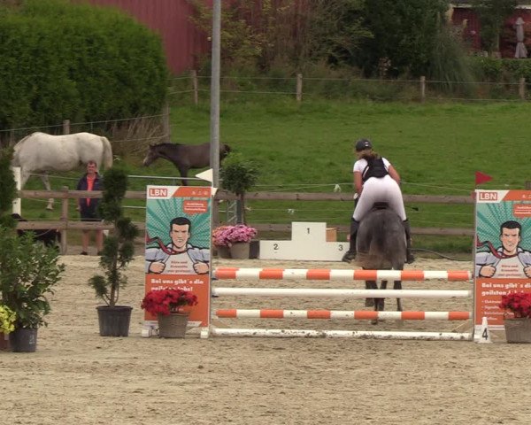 Reitturnier Loop/ Looperholz 2023