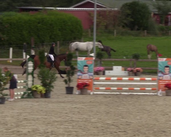 Reitturnier Loop/ Looperholz 2023