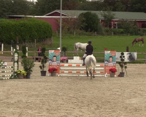 Reitturnier Loop/ Looperholz 2023