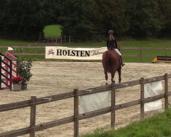 Reitturnier Loop/ Looperholz 2023