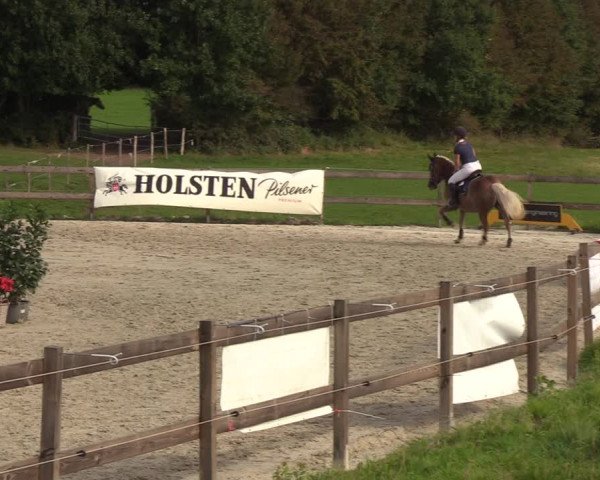 Reitturnier Loop/ Looperholz 2023
