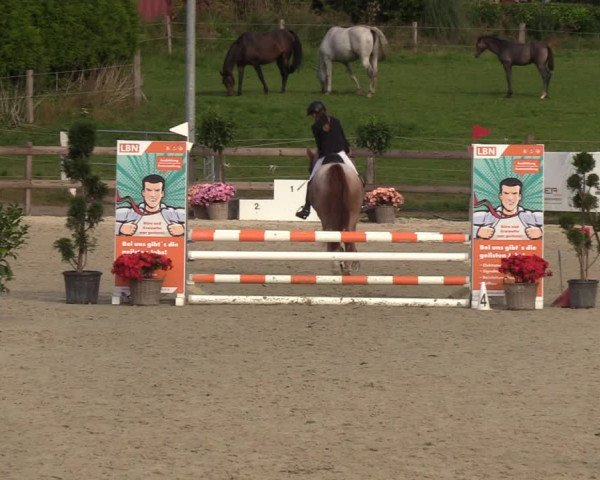 Reitturnier Loop/ Looperholz 2023