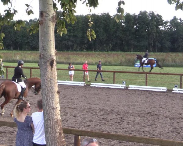 Reitturnier Lübbenau / Groß Klessow 2023