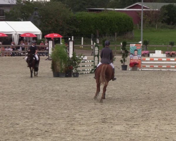 Reitturnier Loop/ Looperholz 2023