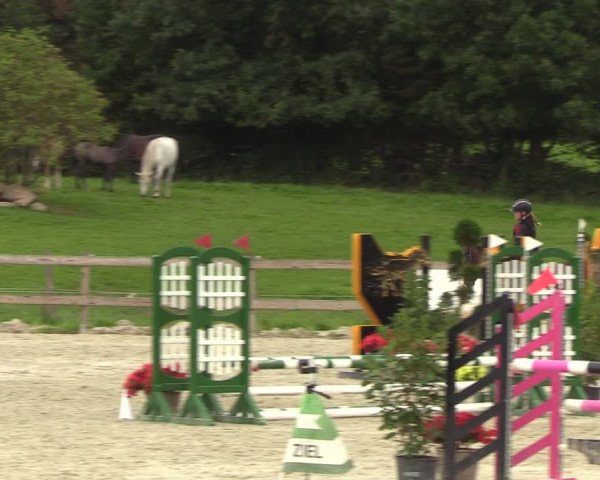 Reitturnier Loop/ Looperholz 2023