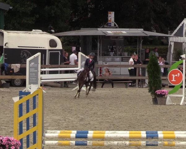 Reitturnier Loop/ Looperholz 2023