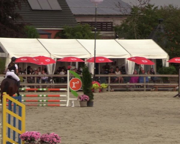 Reitturnier Loop/ Looperholz 2023