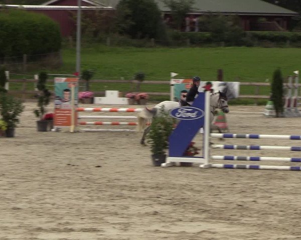 Reitturnier Loop/ Looperholz 2023
