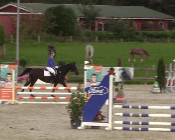 Reitturnier Loop/ Looperholz 2023