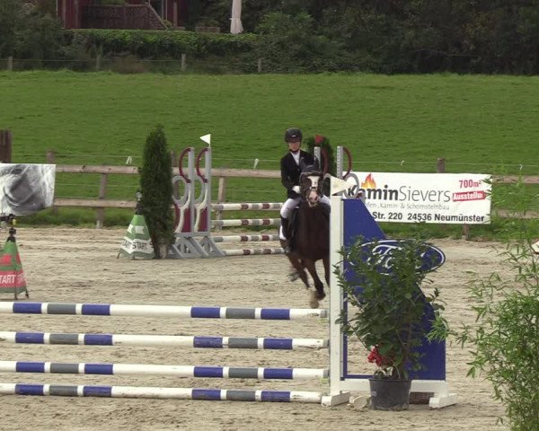 Reitturnier Loop/ Looperholz 2023