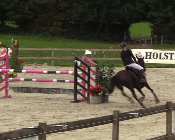 Reitturnier Loop/ Looperholz 2023