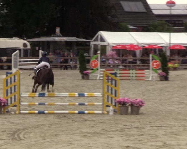 Reitturnier Loop/ Looperholz 2023