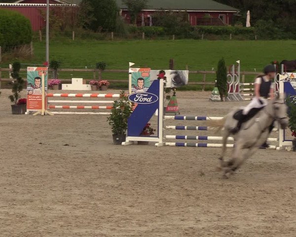 Reitturnier Loop/ Looperholz 2023