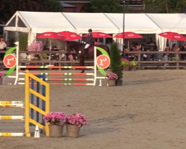 Reitturnier Loop/ Looperholz 2023