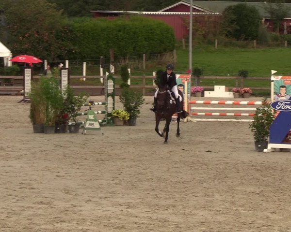 Reitturnier Loop/ Looperholz 2023