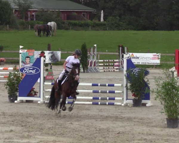 Reitturnier Loop/ Looperholz 2023