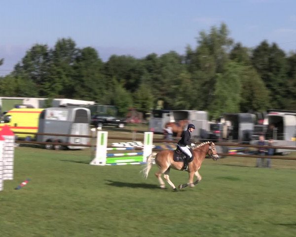 Reitturnier Lübbenau / Groß Klessow 2023