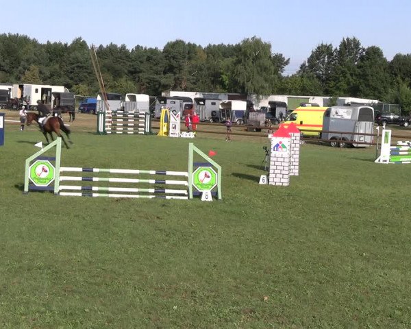 Reitturnier Lübbenau / Groß Klessow 2023