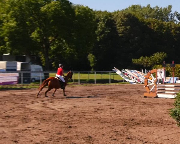 Reitturnier Lentzke - Reitanlage Krehl 2023