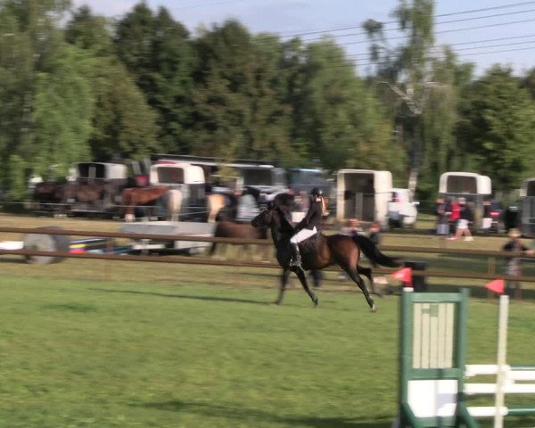 Reitturnier Lübbenau / Groß Klessow 2023