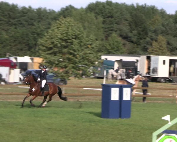 Reitturnier Lübbenau / Groß Klessow 2023