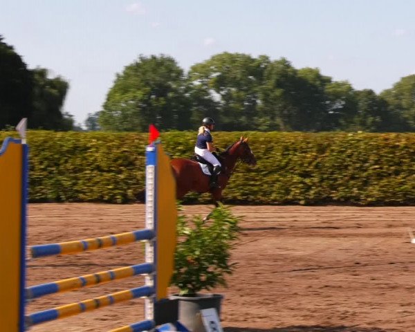 Reitturnier Lentzke - Reitanlage Krehl 2023