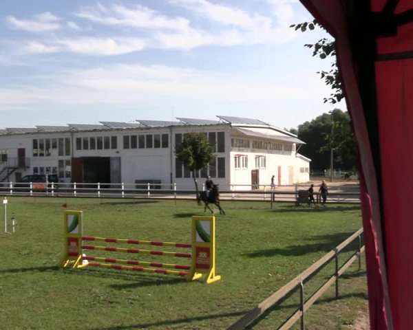 Reitturnier Lübbenau / Groß Klessow 2023