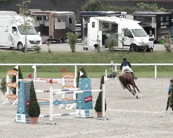 Pferdesporttage Bülach 2021