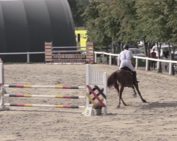 Reitturnier Bad Schmiedeberg 2023