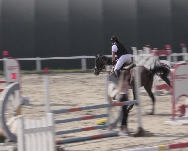 Reitturnier Bad Schmiedeberg 2023