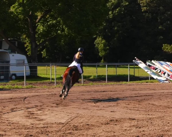 Reitturnier Lentzke - Reitanlage Krehl 2023