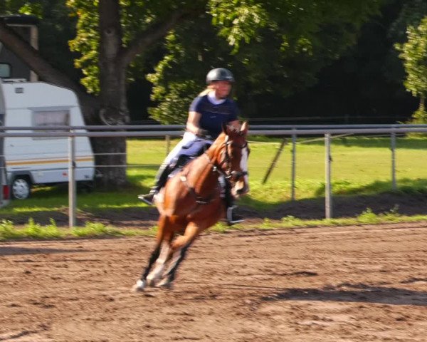 Reitturnier Lentzke - Reitanlage Krehl 2023