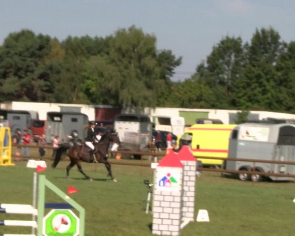 Reitturnier Lübbenau / Groß Klessow 2023