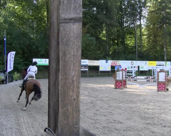 Reitturnier Sins 2023