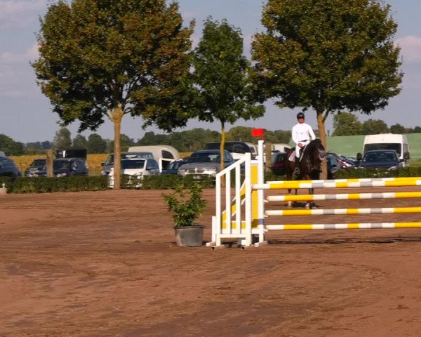 Reitturnier Lentzke - Reitanlage Krehl 2023