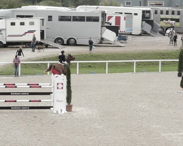 Pferdesporttage Bülach 2021