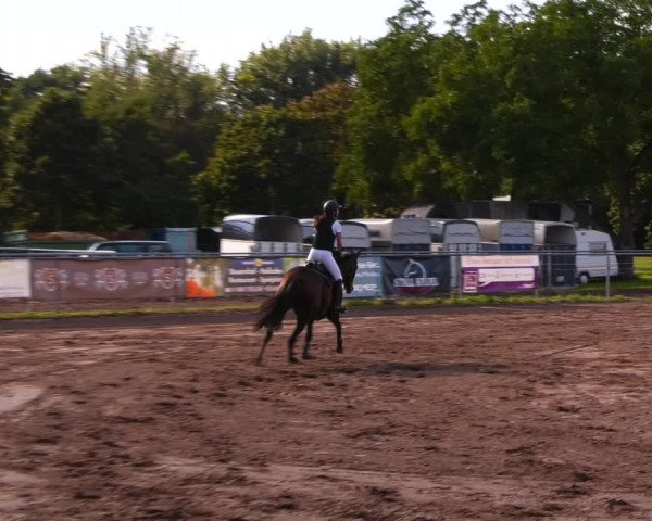 Reitturnier Lentzke - Reitanlage Krehl 2023