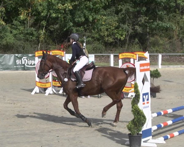 Reitturnier Forst 2021