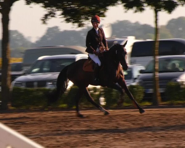 Reitturnier Lentzke - Reitanlage Krehl 2023