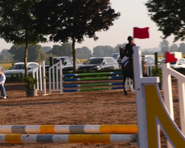 Reitturnier Lentzke - Reitanlage Krehl 2023