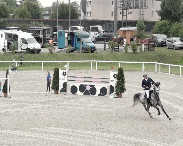 Pferdesporttage Bülach 2021