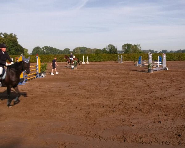 Reitturnier Lentzke - Reitanlage Krehl 2023