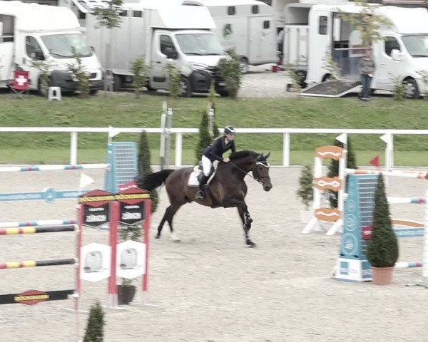 Pferdesporttage Bülach 2021
