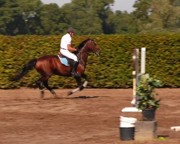 Reitturnier Lentzke - Reitanlage Krehl 2023
