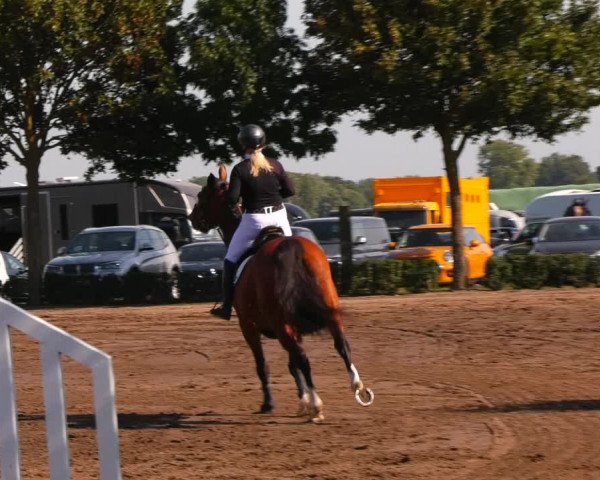 Reitturnier Lentzke - Reitanlage Krehl 2023