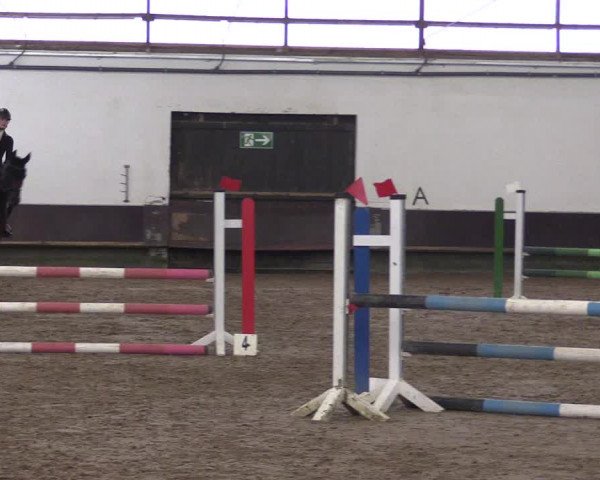 Reitturnier Albersloh 2023