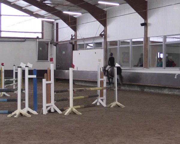 Reitturnier Albersloh 2023