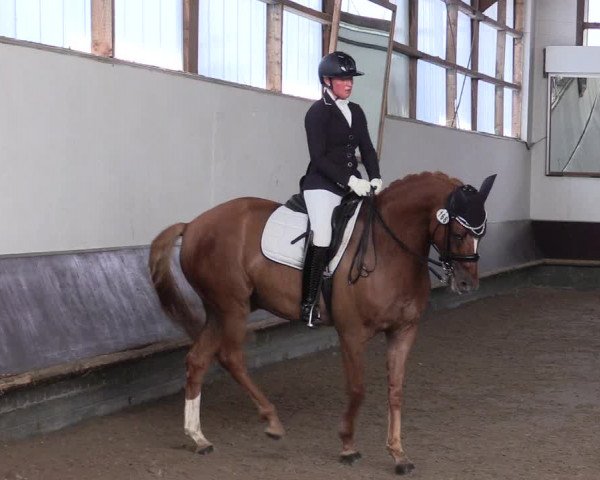 Reitturnier Albersloh 2023