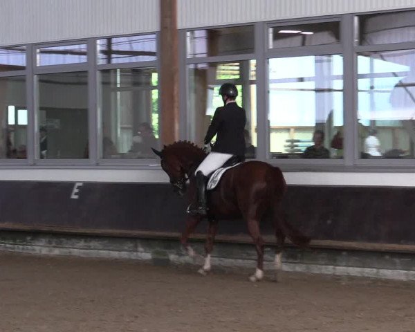 Reitturnier Albersloh 2023